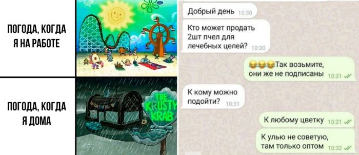 Подборка прикольных картинок и мемов, для Хорошего дня