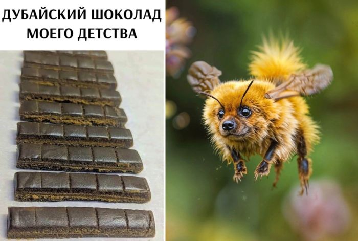 Веселые картинки и позитивные фото для хорошего дня