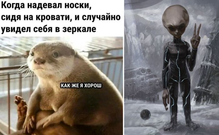 Смешные картинки с надписями в пятницу