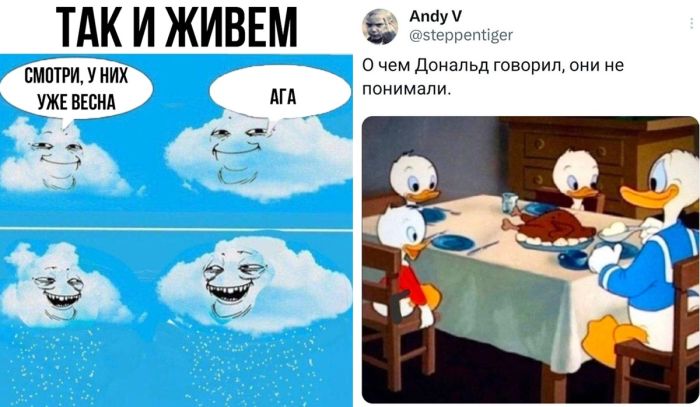 Самые прикольные картинки Мемы для хорошего настроения