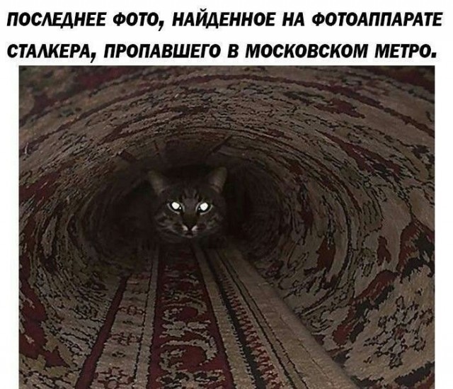 Большой сборник юмора где Мемы выходят на новый Уровень Большой сборник юмора где Мемы выходят на новый Уровень native-yes