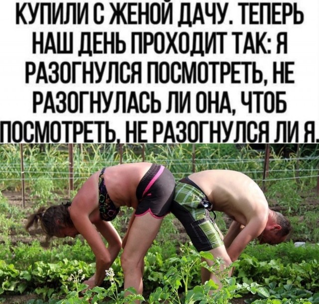 Подборка самых позитивных Мемов и Прикольных картинок на выходные native-yes