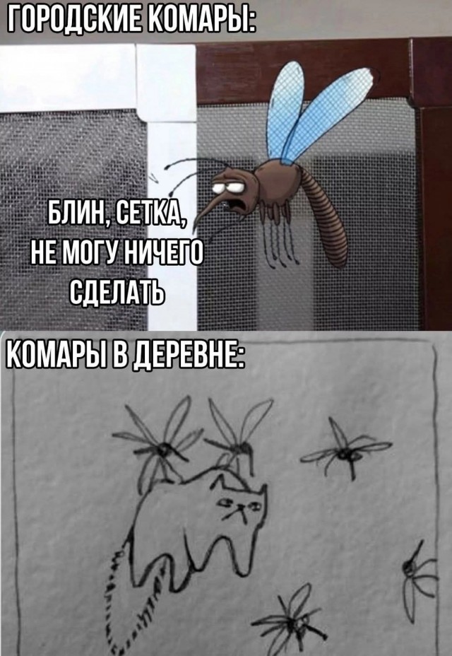 Свеженькие мемы как вы любите Свеженькие мемы как вы любите native-yes