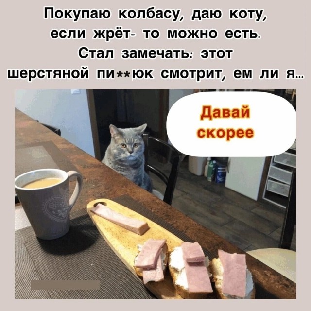 Подборка увлекательных Картинок с надписями native-yes