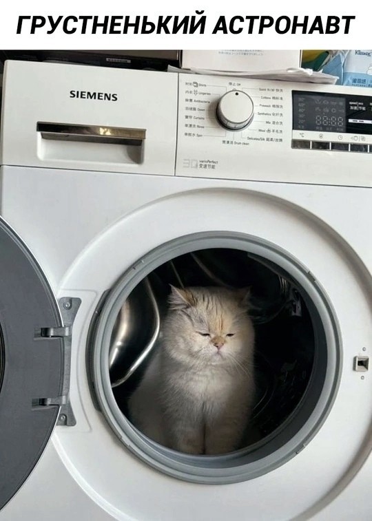 Веселые мемы и забавные картинки на Пятницу Веселые мемы и забавные картинки на Пятницу native-yes