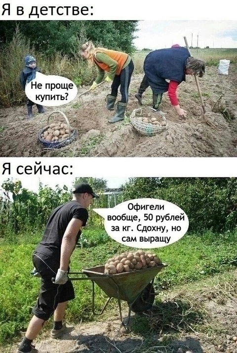 Картинки с лучшими шутками на выходные Картинки с лучшими шутками на выходные native-yes