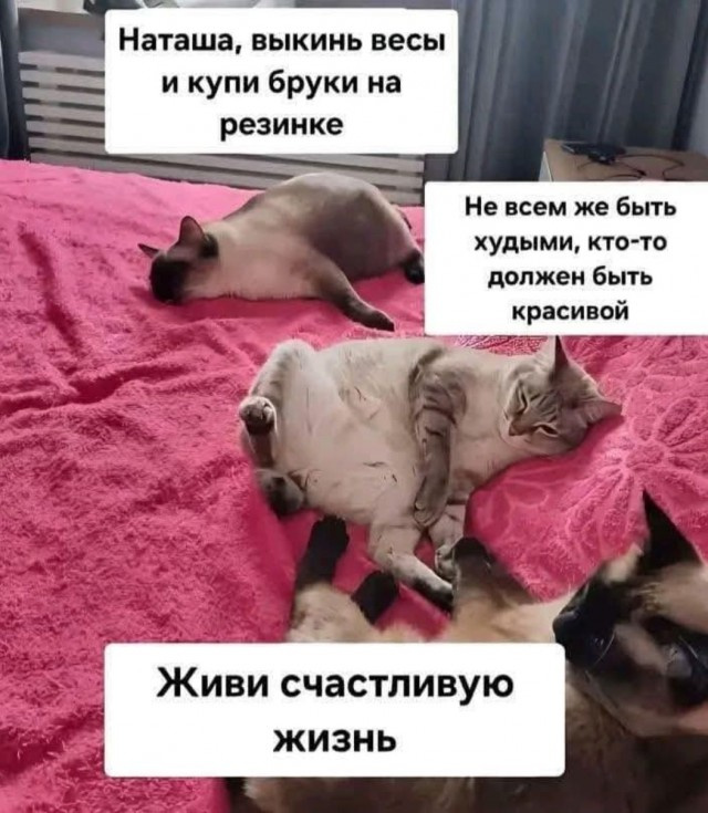 Самые лучшие мемы и прикольные картинки native-yes