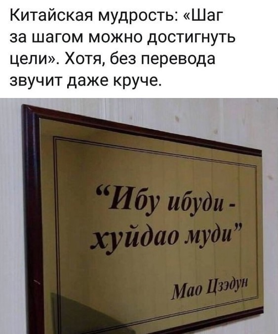 Смешные картинки для старта недели Смешные картинки для старта недели native-yes