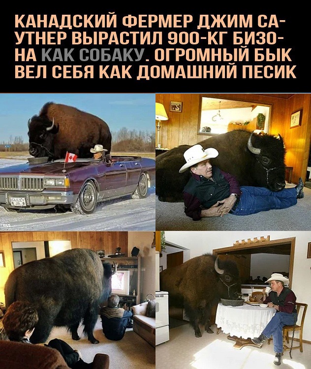 Картинки с лучшими шутками на выходные Картинки с лучшими шутками на выходные native-yes