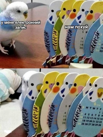 Большой сборник Мемов и смешных картинок native-yes