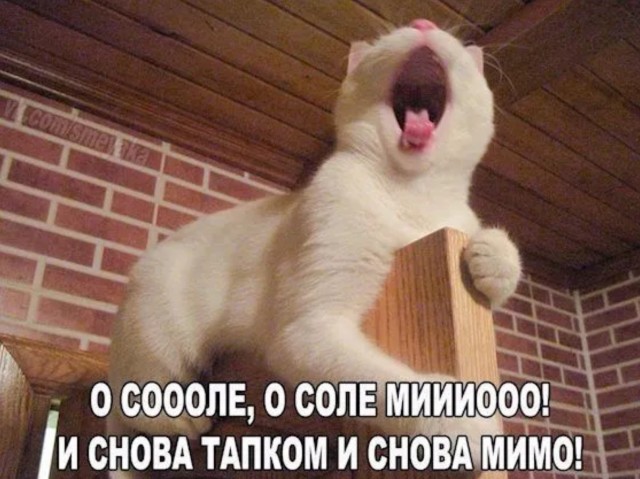 Смешные мемы и приколы с Надписями на выходные native-yes