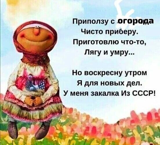 Подборка увлекательных Картинок с надписями native-yes