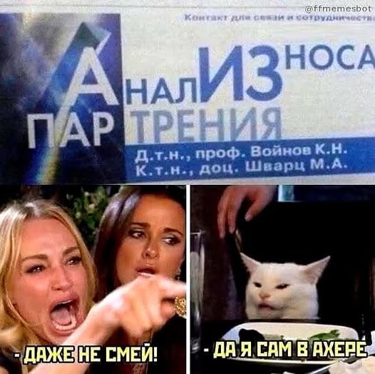 Свежие мемы чтобы убить время native-yes