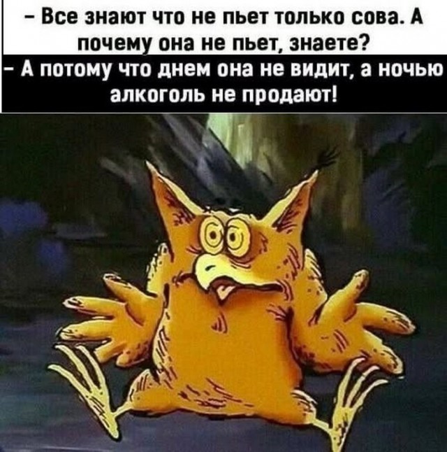 Свежие мемы чтобы убить время native-yes