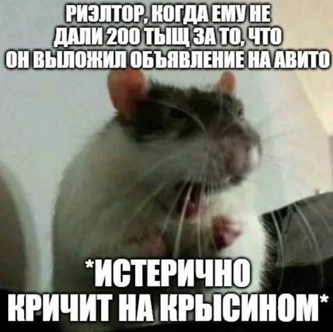 Завораживающие фото и смешные картинки Завораживающие фото и смешные картинки native-yes