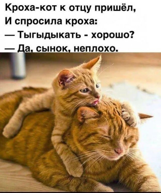 Смешная подборка Мемов на выходные Смешная подборка Мемов на выходные native-yes