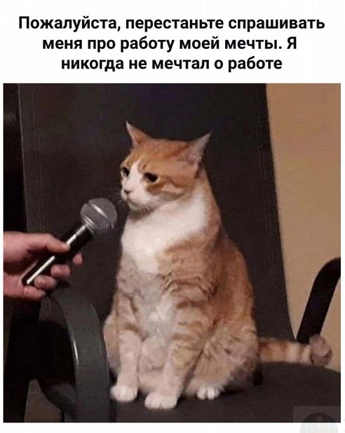 Большой сборник прикольных Картинок Большой сборник прикольных Картинок native-yes