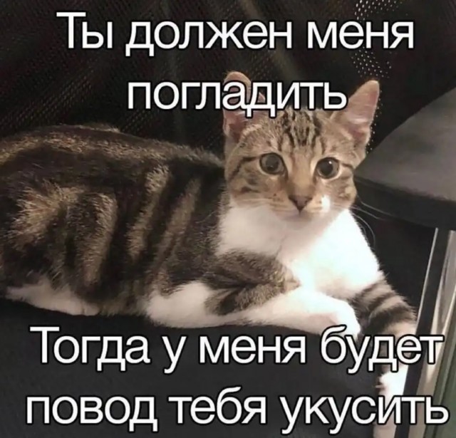 Смешная подборка Мемов на выходные Смешная подборка Мемов на выходные native-yes