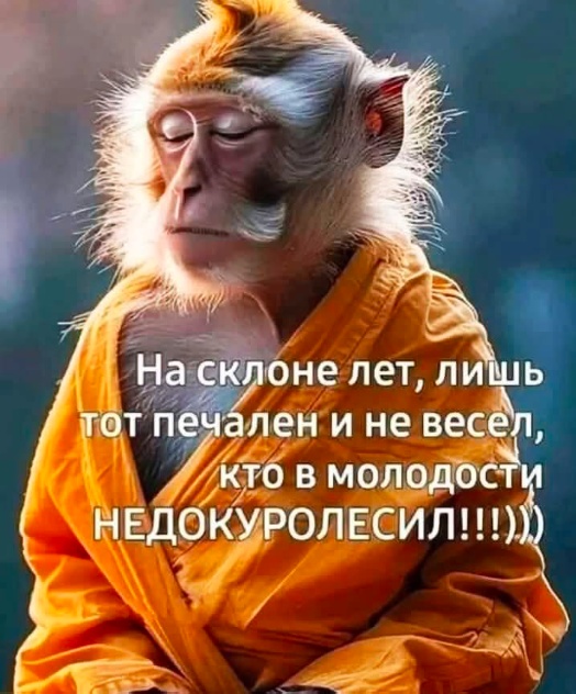 Подборка увлекательных Картинок с надписями native-yes