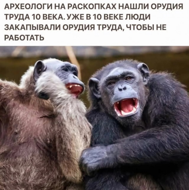Большой сборник юмора где Мемы выходят на новый Уровень Большой сборник юмора где Мемы выходят на новый Уровень native-yes