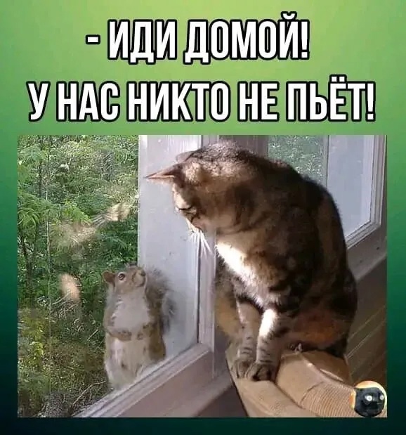 Самые лучшие мемы и прикольные картинки native-yes