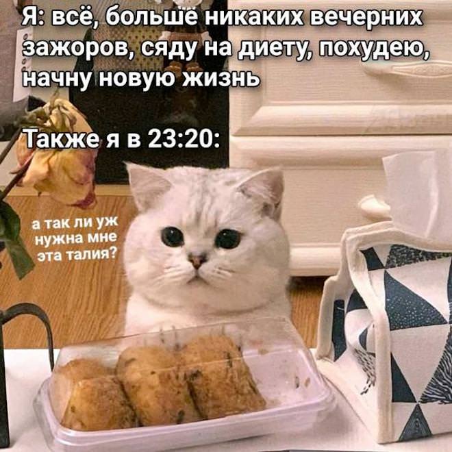 Мемы - Новые, Свежие, Смешные Мемы - Новые, Свежие, Смешные native-yes