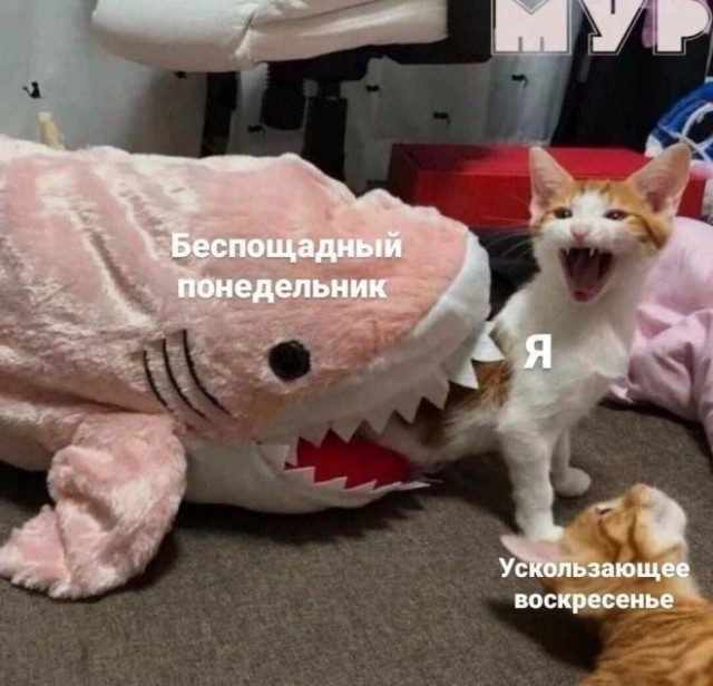 Подборка новых и смешных мемов на понедельник Подборка новых и смешных мемов на понедельник native-yes