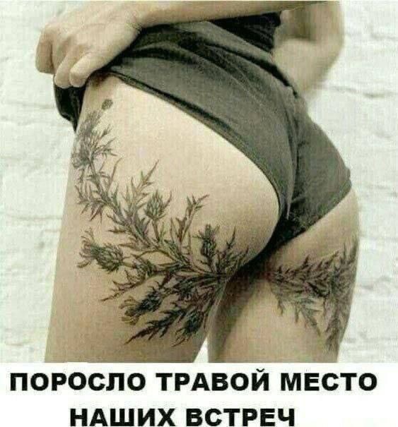 Подборка самых позитивных Мемов и Прикольных картинок на выходные native-yes