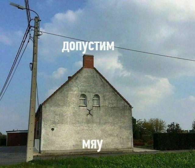 Самые лучшие мемы и прикольные картинки native-yes