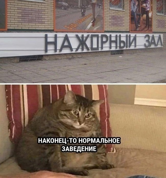 Смешная подборка Мемов на выходные Смешная подборка Мемов на выходные native-yes