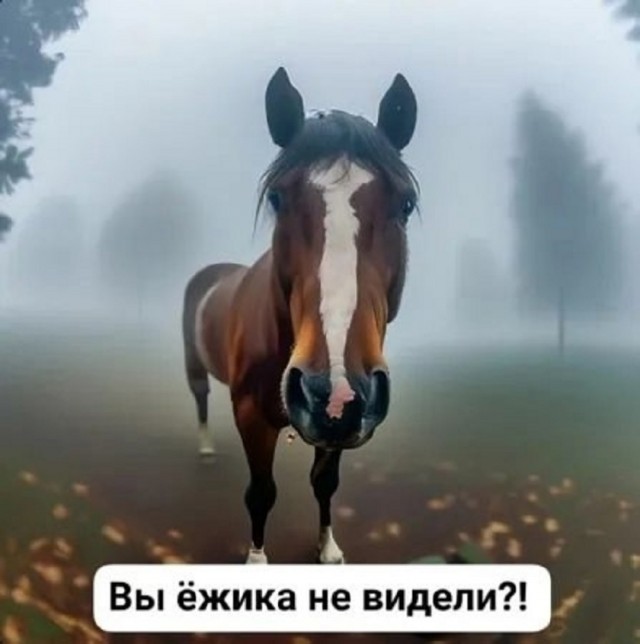 Новые шутки на выходные native-yes