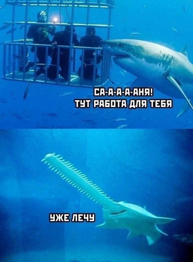 Смешные мемы и приколы с Надписями на выходные native-yes
