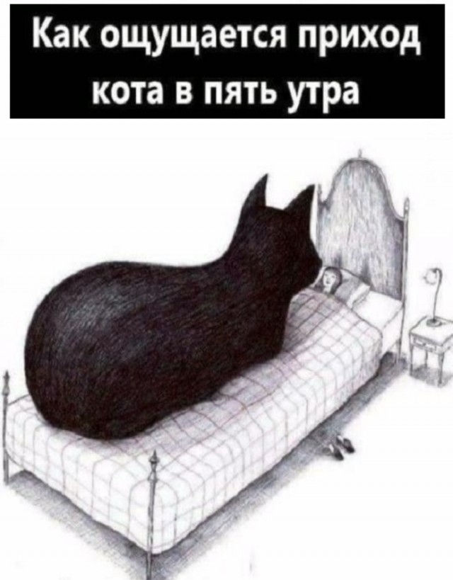 Порция смешных картинок с надписями в пятницу Порция смешных картинок с надписями в пятницу native-yes