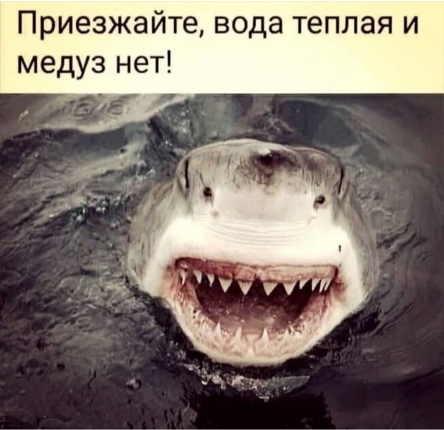 Большой сборник юмора где Мемы выходят на новый Уровень Большой сборник юмора где Мемы выходят на новый Уровень native-yes