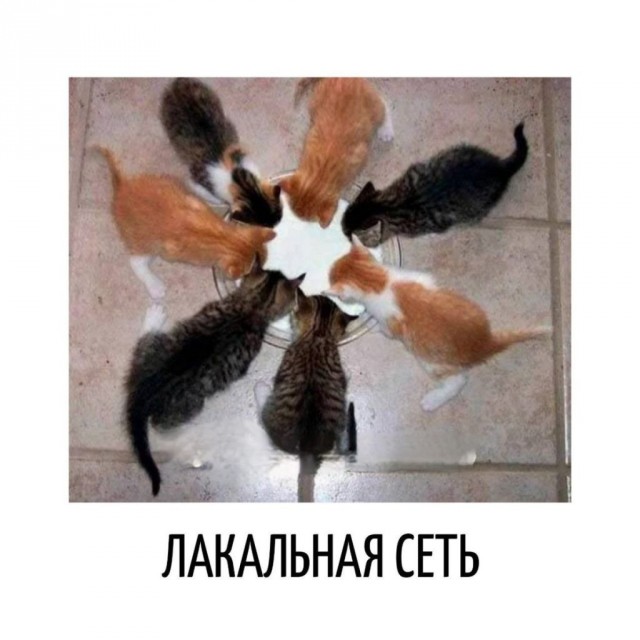 Веселые мемы и забавные картинки на Пятницу Веселые мемы и забавные картинки на Пятницу native-yes