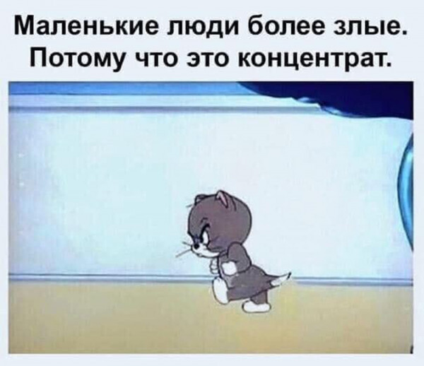 Смешные картинки и мемы для начала Дня native-yes
