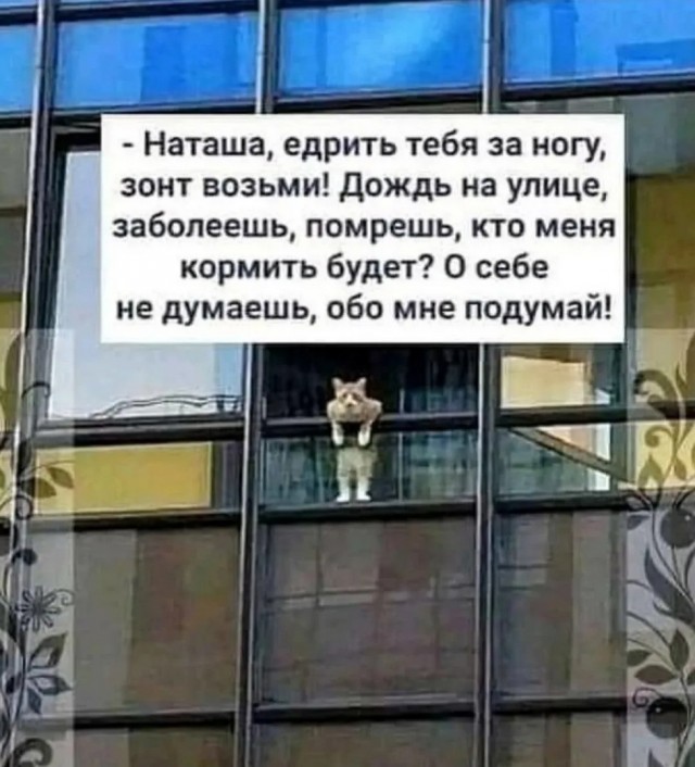 Свеженькие мемы как вы любите Свеженькие мемы как вы любите native-yes