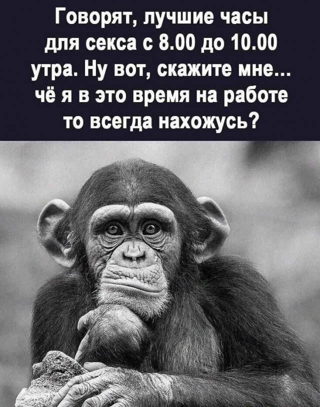 Картинки с лучшими шутками на выходные Картинки с лучшими шутками на выходные native-yes