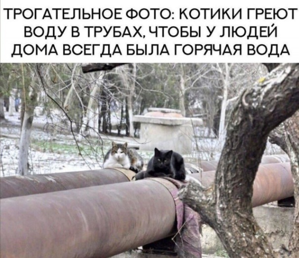 Подборка самых позитивных Мемов и Прикольных картинок на выходные native-yes