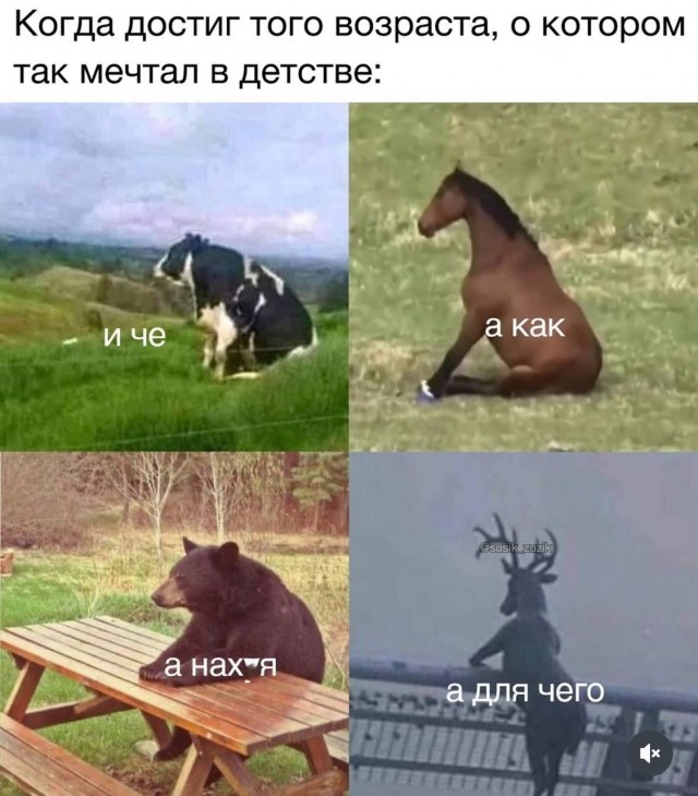 Смешная подборка Мемов на выходные Смешная подборка Мемов на выходные native-yes