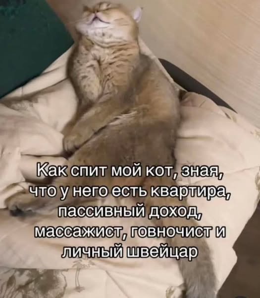 Большой сборник прикольных Картинок Большой сборник прикольных Картинок native-yes