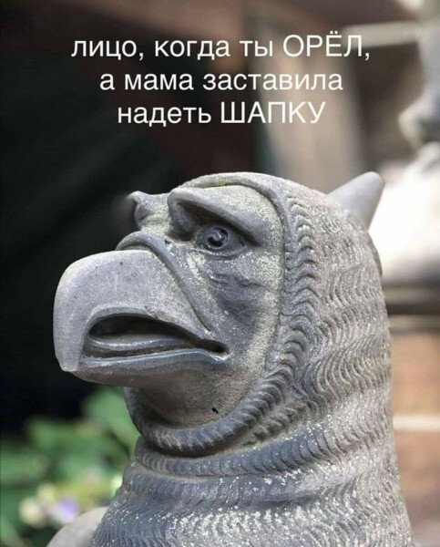 Смешные картинки для старта недели Смешные картинки для старта недели native-yes