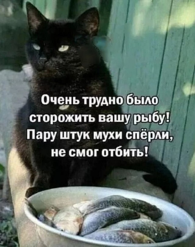 Новые шутки на выходные native-yes