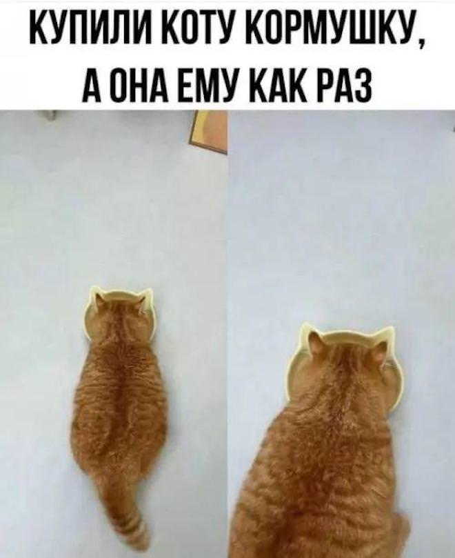 Мемы для лиц с хорошим чувством Юмора Мемы для лиц с хорошим чувством Юмора native-yes