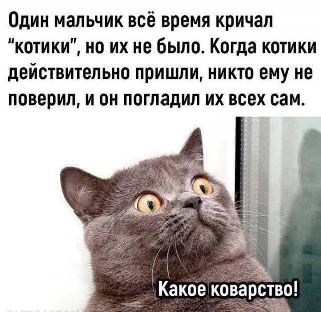 Подборка самых позитивных Мемов и Прикольных картинок на выходные native-yes