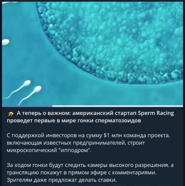 Большой сборник прикольных Картинок Большой сборник прикольных Картинок native-yes