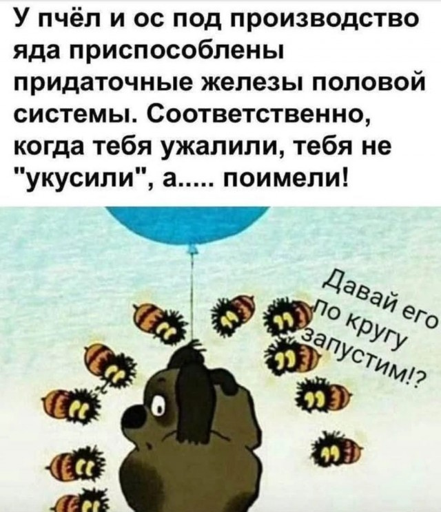 Самые лучшие мемы и прикольные картинки native-yes