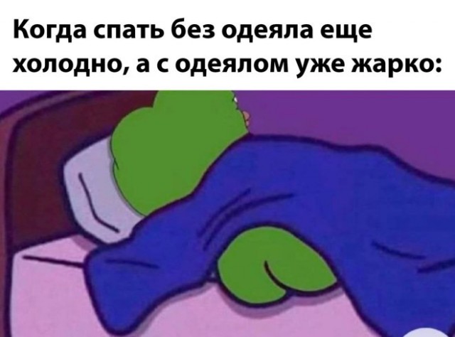 Свежие мемы чтобы убить время native-yes