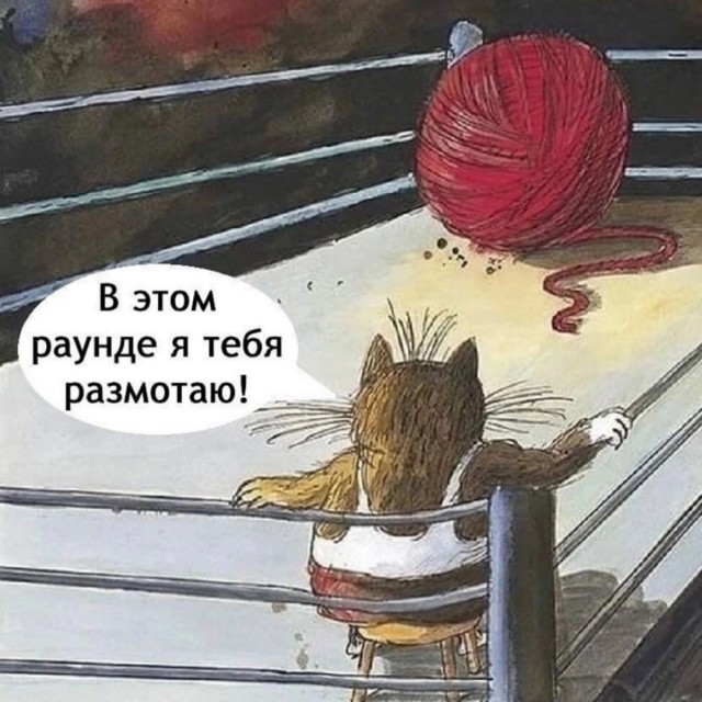 Подборка увлекательных Картинок с надписями native-yes