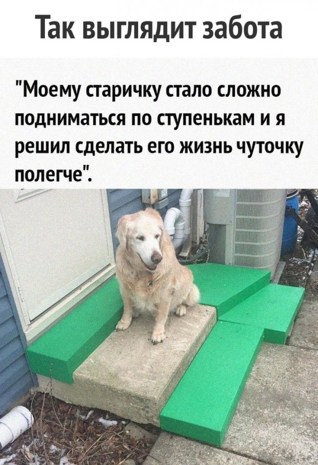 Смешные картинки для старта недели Смешные картинки для старта недели native-yes